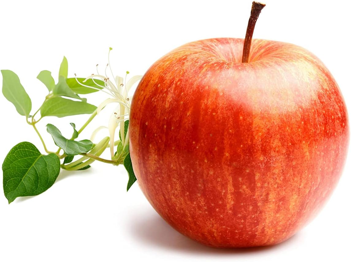 Derek Lam Drunk on Youth Eau De Perfume, 175 Ml image number 1