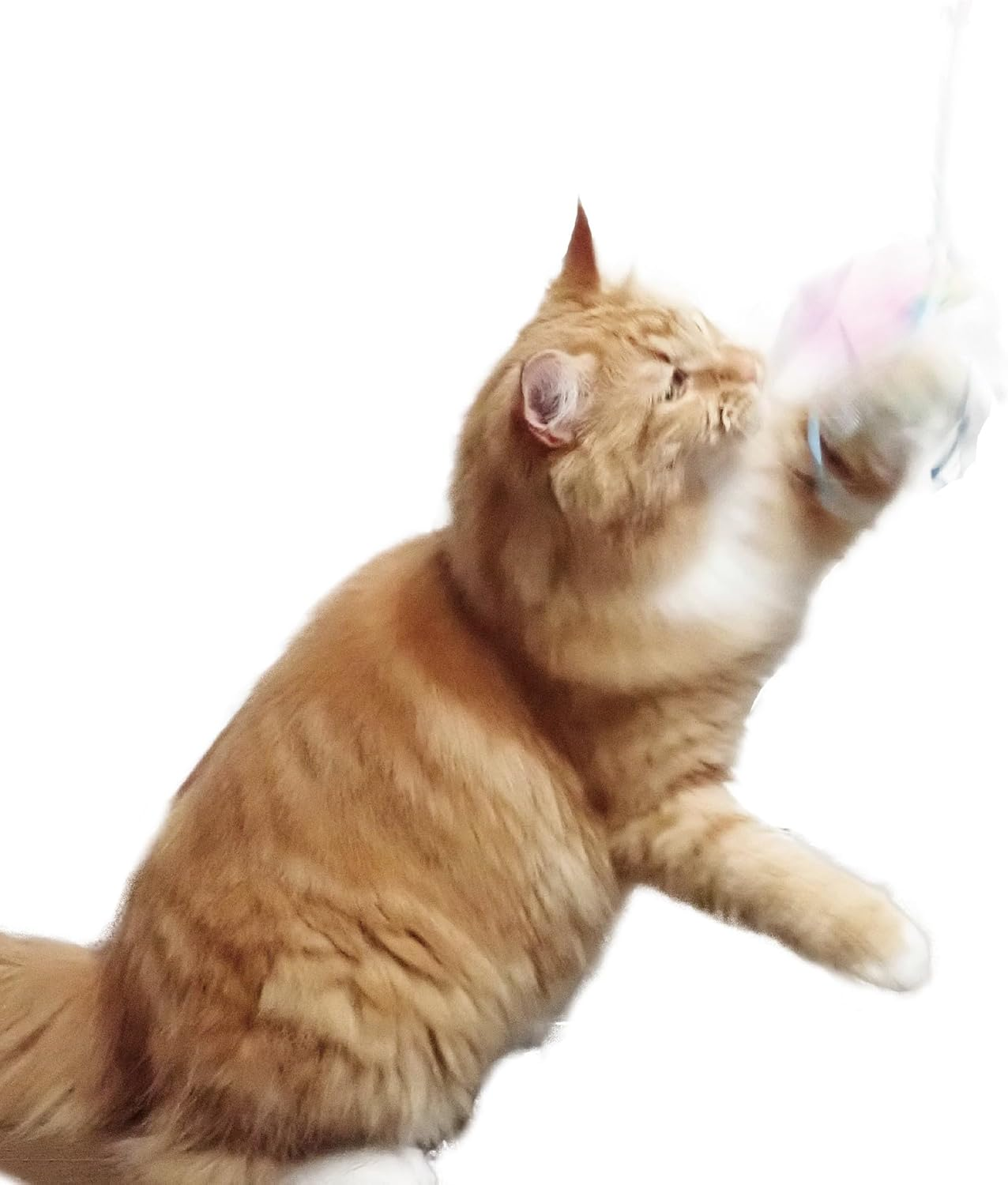 Petzroot Kashakasha Bun Big Fly Kagero Cat Toy Set of 4 image number 6