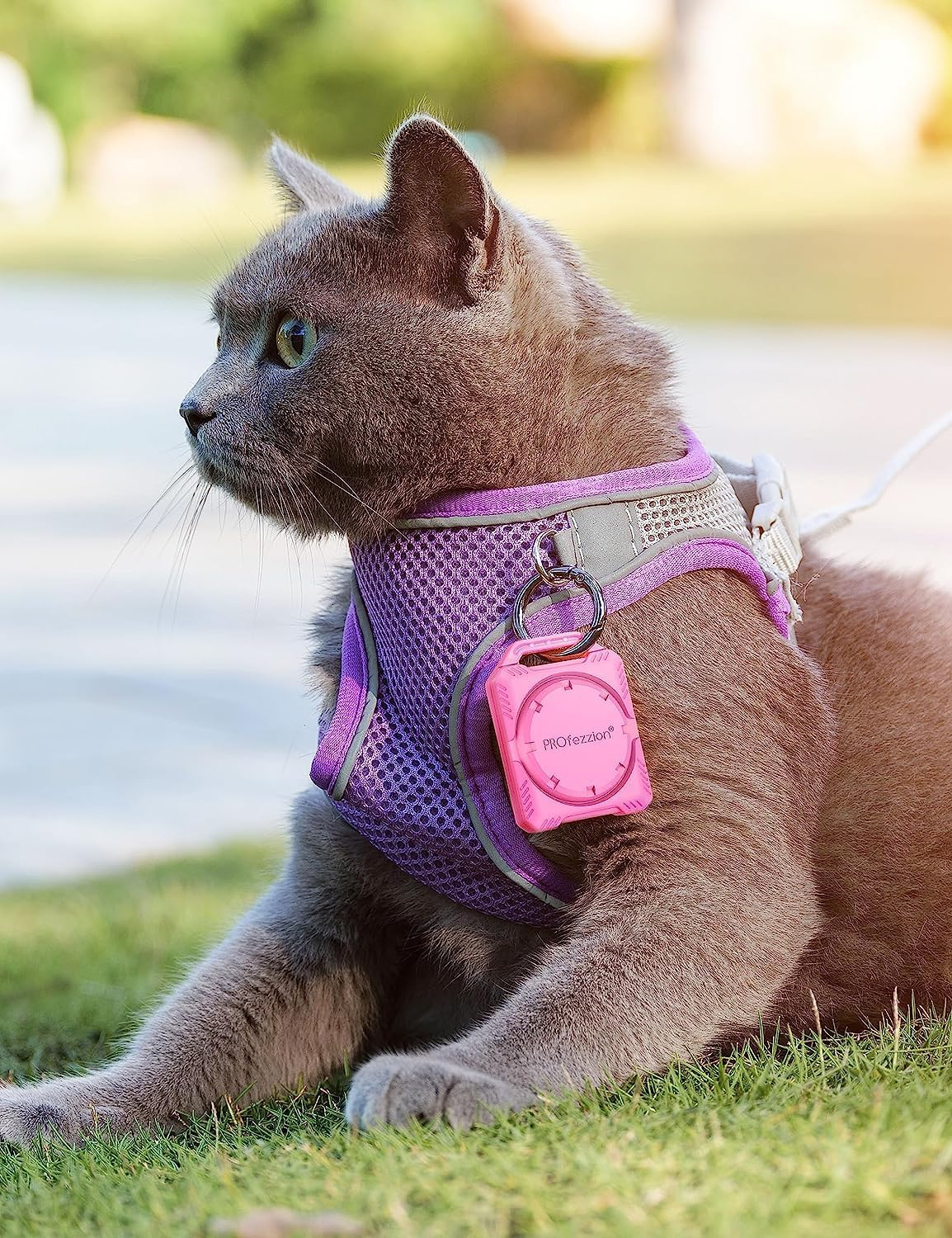 Profezzion IPX8 Waterproof Case, Anti-Lost Anti-Scratch Holder Protective Skin Cover with Key Ring, Loop Strap and 3M Mount for Keychain, Dog Collar, Travel, Luggage, Car, & More-Red image number 2