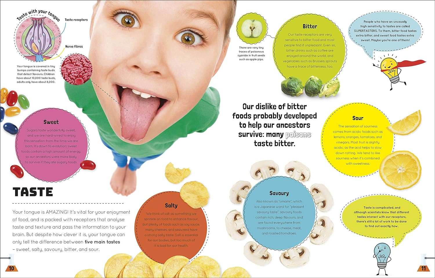 Science You Can Eat: Putting What We Eat under the Microscope image number 5