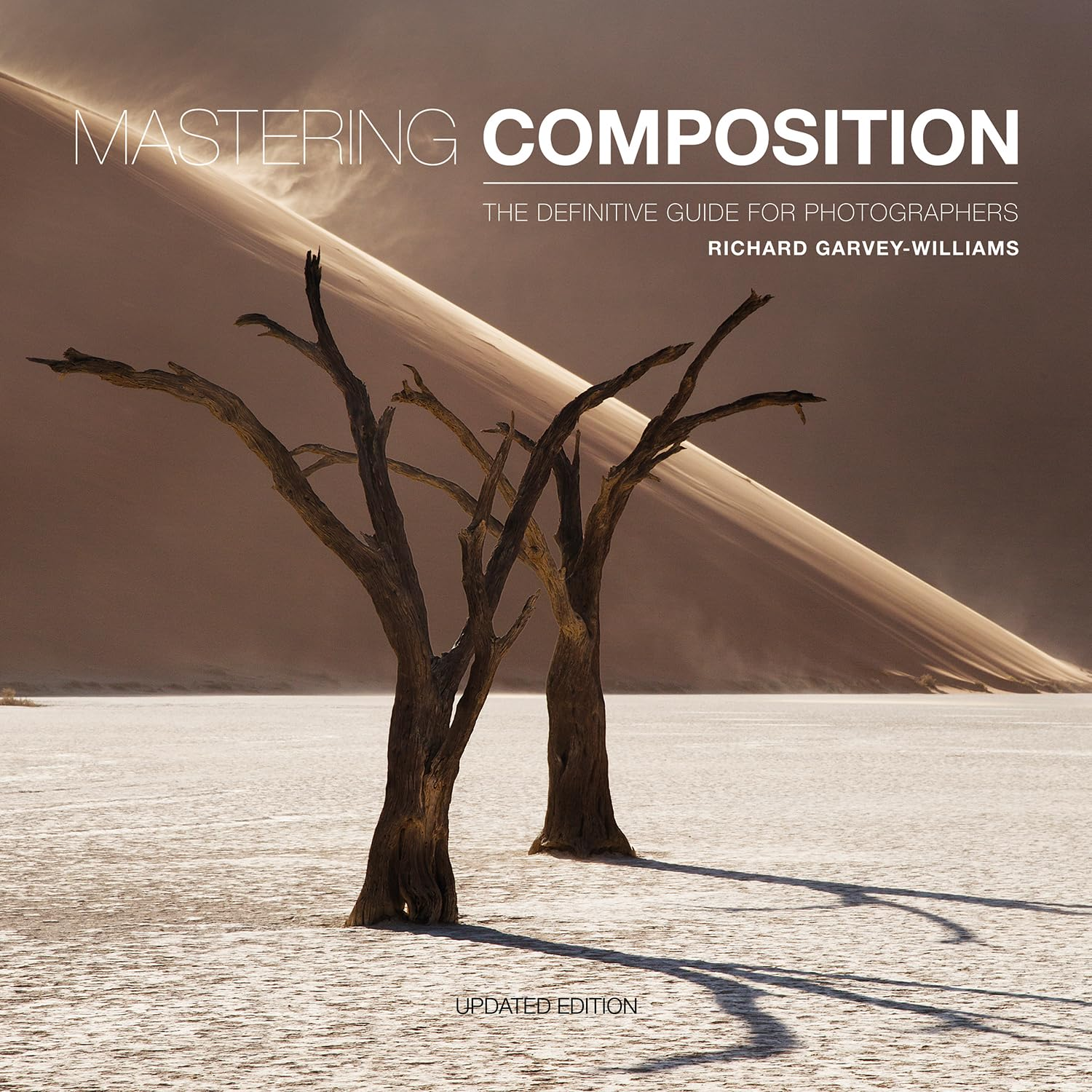 Mastering Composition: the Definitive Guide for Photographers image number 5