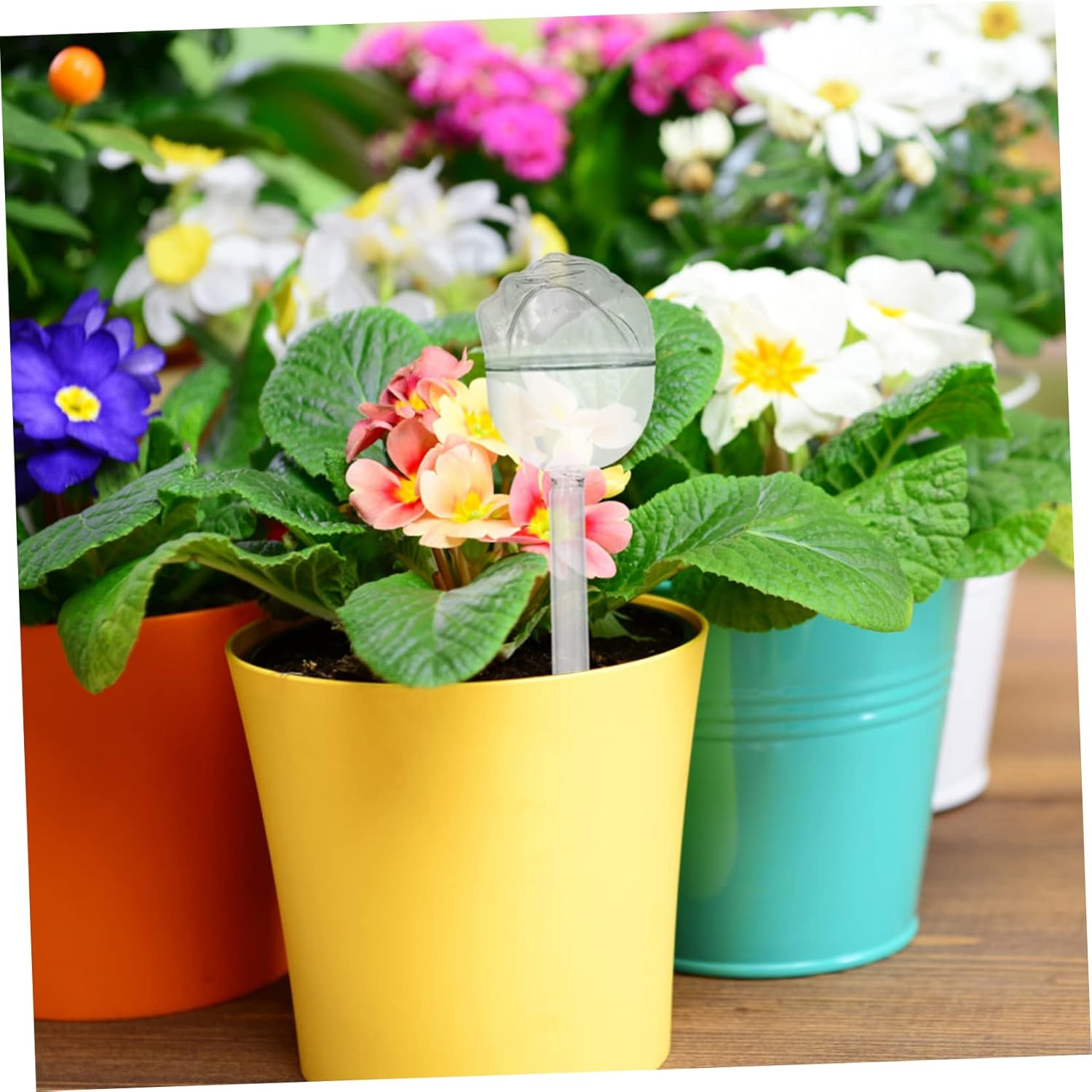 BESPORTBLE 5Pcs Automatic Watering Device Plant Watering Bulb Self-Watering Tools for Indoor Outdoor Gardening Supplies for Keeping Plants Hydrated While Traveling Busy Schedules image number 5