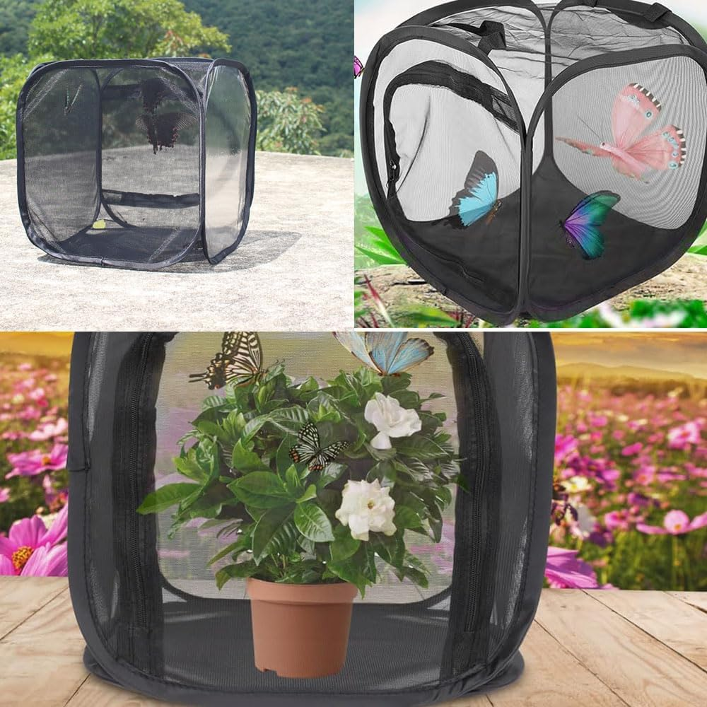 Insect Mesh Cage,Armastuse 1 Pcs Butterfly Habitat Cage, 30X30X30 Cm Plant Habitat Cage, Foldable Mesh Cage for Insect Habitat, Seedling Breeding,Butterflies Insects Raising(Black) image number 3