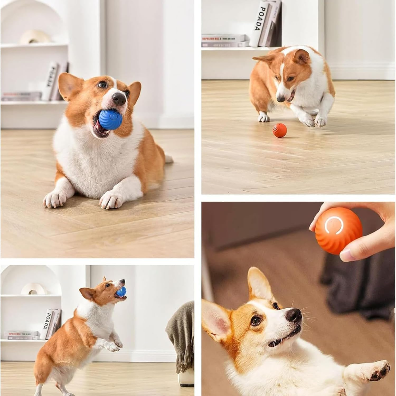 Interactive Dog Ball Toys, Active Rolling Ball for Indoor Dogs Cats with Motion Activated USB Rechargeable, Moving Bouncing Ball Pet Puzzle Toy (Blue) - Orange A image number 4