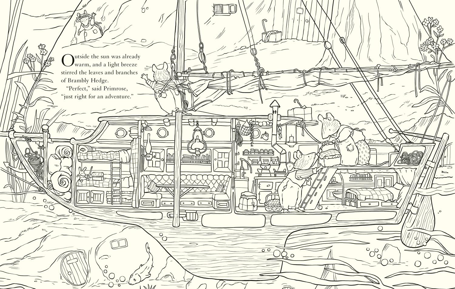 Brambly Hedge Nature Colouring Book: Enter the Cosy World of Brambly Hedge with This Perfect Colouring Book for Relaxation for All Ages