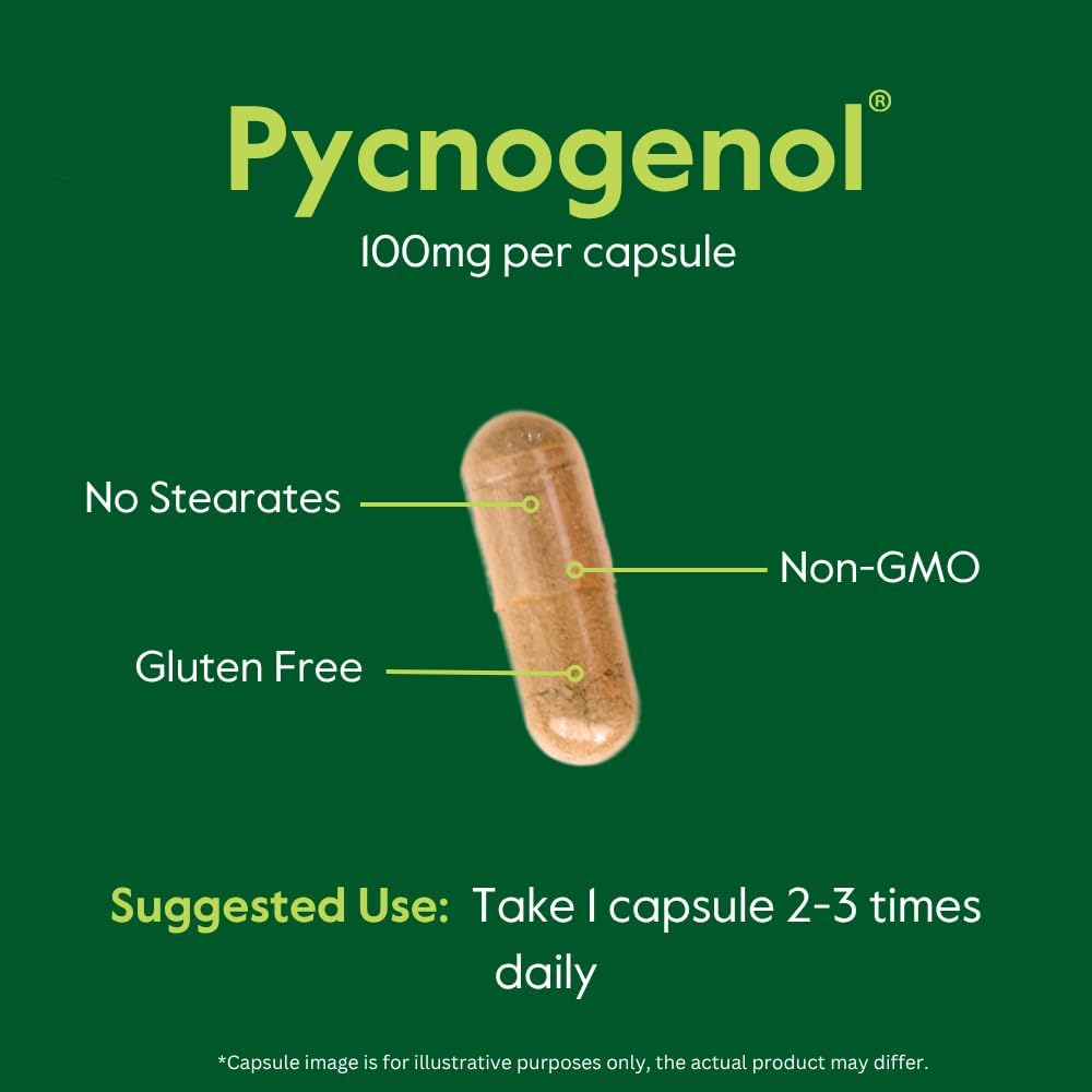 Pycnogenol 100Mg (60 Capsules) - French Maritime Pine Bark Extract - No Stearates - Gluten Free - Non GMO