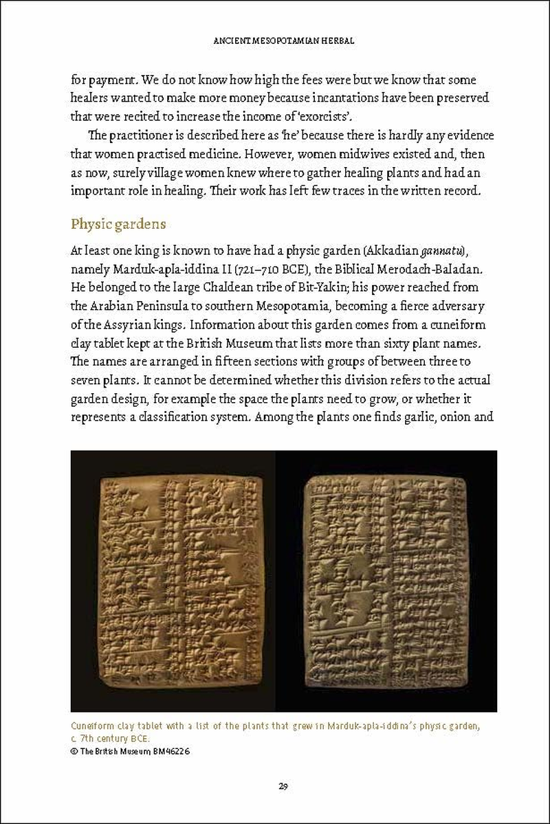 An Ancient Mesopotamian Herbal image number 1