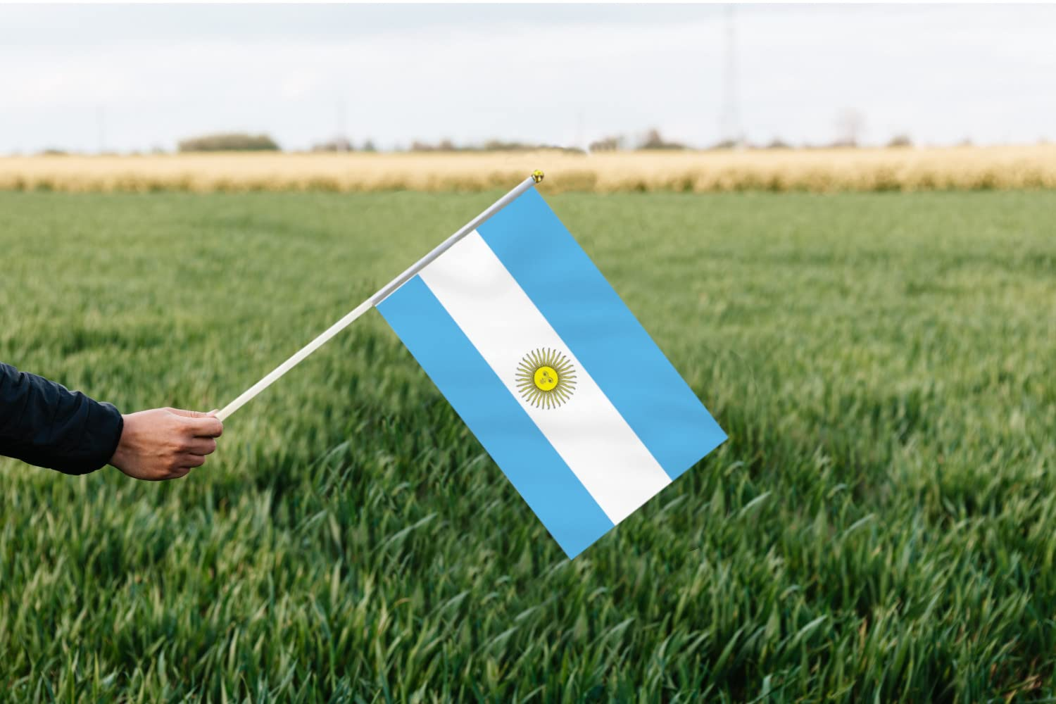 10 PCS Handheld Argentina Flag,8.5&times;5.5 Inch Hand Held Mini Argentine Flags Banner for Indoor Outdoor Parade Waving the Tlag and Shouting image number 2