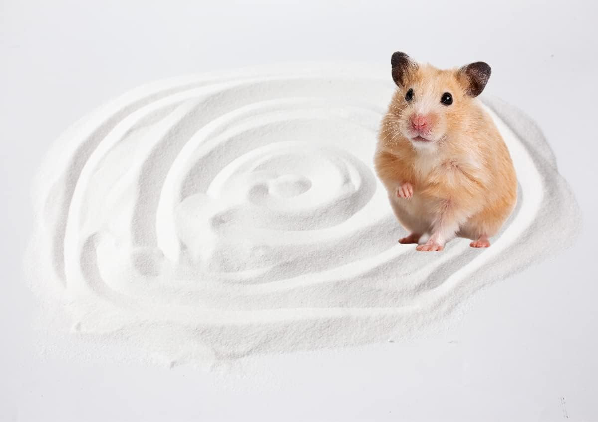 JFWOD Hamster Bath Sand, 7.7Lb Dust Free Desert Sand or Potty Litter Sand for Hamster Chinchillas Gerbil Syrian Mice Small Animals - Beige image number 6