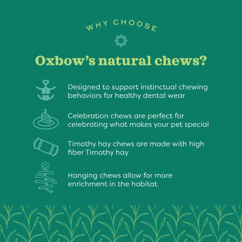 Oxbow Enriched Life Twisty Rings - Rabbit Toy, Guinea Pig Toy, Hamster, Rabbit, Chinchilla, Rat, Chinchilla Cage Accessories, Guinea Pig Accessories for Cage image number 3