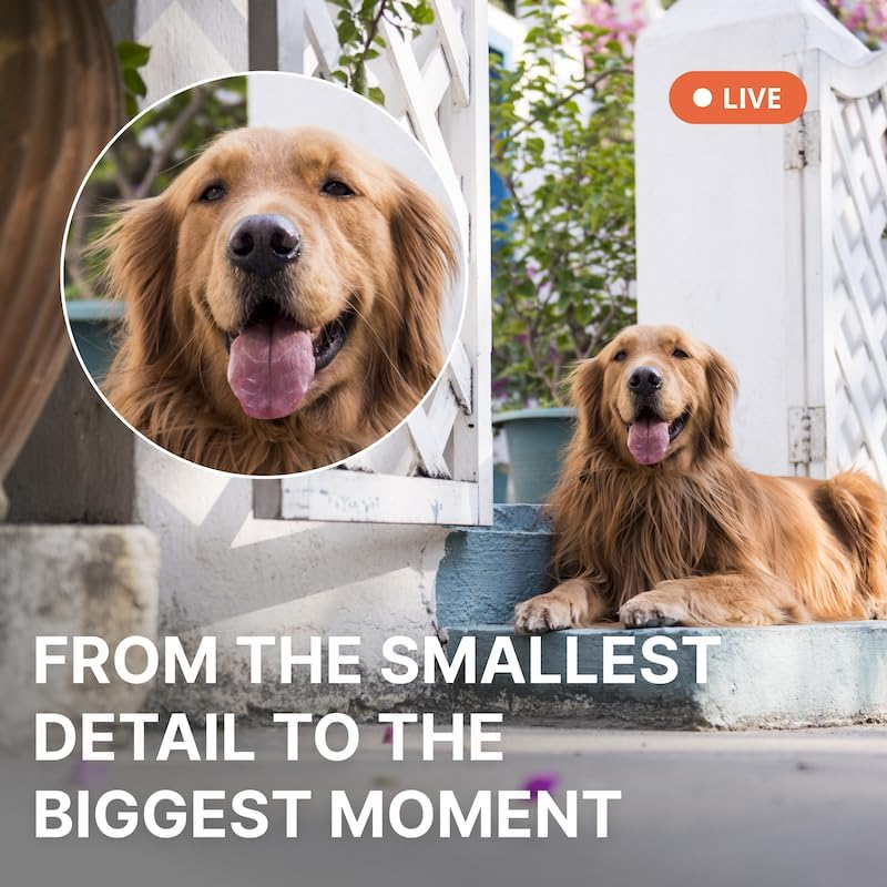 Alfredcamera Alfredcam plus 2 Smart Home Security Camera 2.5K, 5G/Wifi, Indoor/Outdoor, IP65 Waterproof, LED Spotlight, Two-Way Audio, Color Night Vision, Baby/Pet Cam, App Powered (70M+ Downloads) image number 1