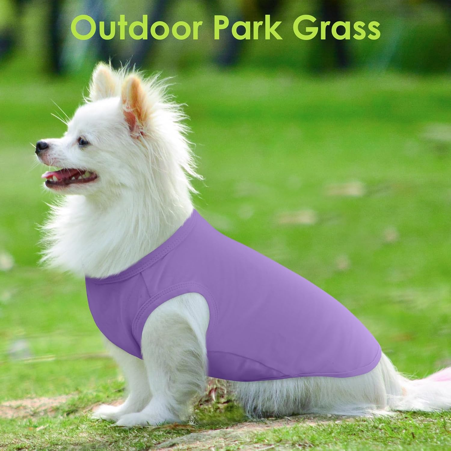 Dog Shirt 3-Pack - Summer Cooling Shirts for Small to Medium Dogs | UV Protection, Breathable & Soft Tees for Sun Safety Purple image number 2