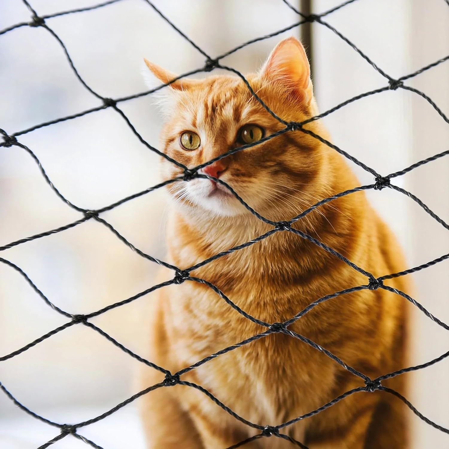 NEWFUN Cat Net for Balcony, 10 X 3 M Balcony Net for Cats, Cat Net Balcony, Sturdy, Durable, Weatherproof Cat Protection Net with Mounting Cords, Pegs and Cable Ties, Cat Net Balcony