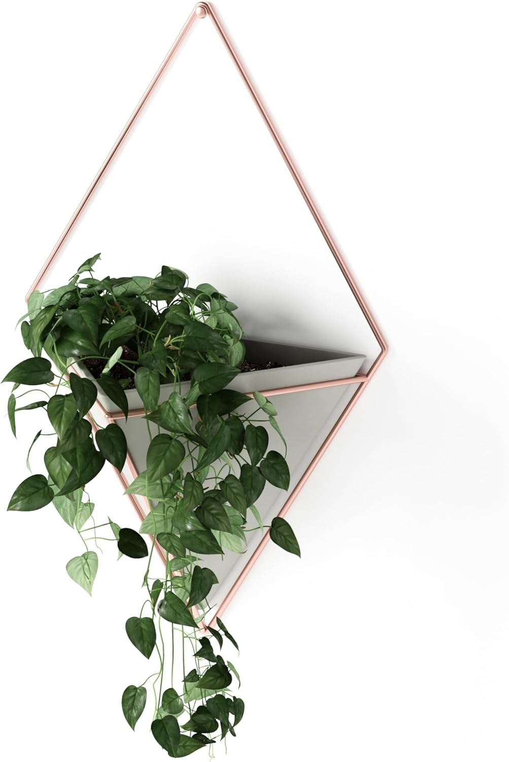 Umbra Trigg Hanging Planter Wall Decor Set, for Displaying Small Plants, Pens and Pencils, Makeup Accessories, Black/Brass