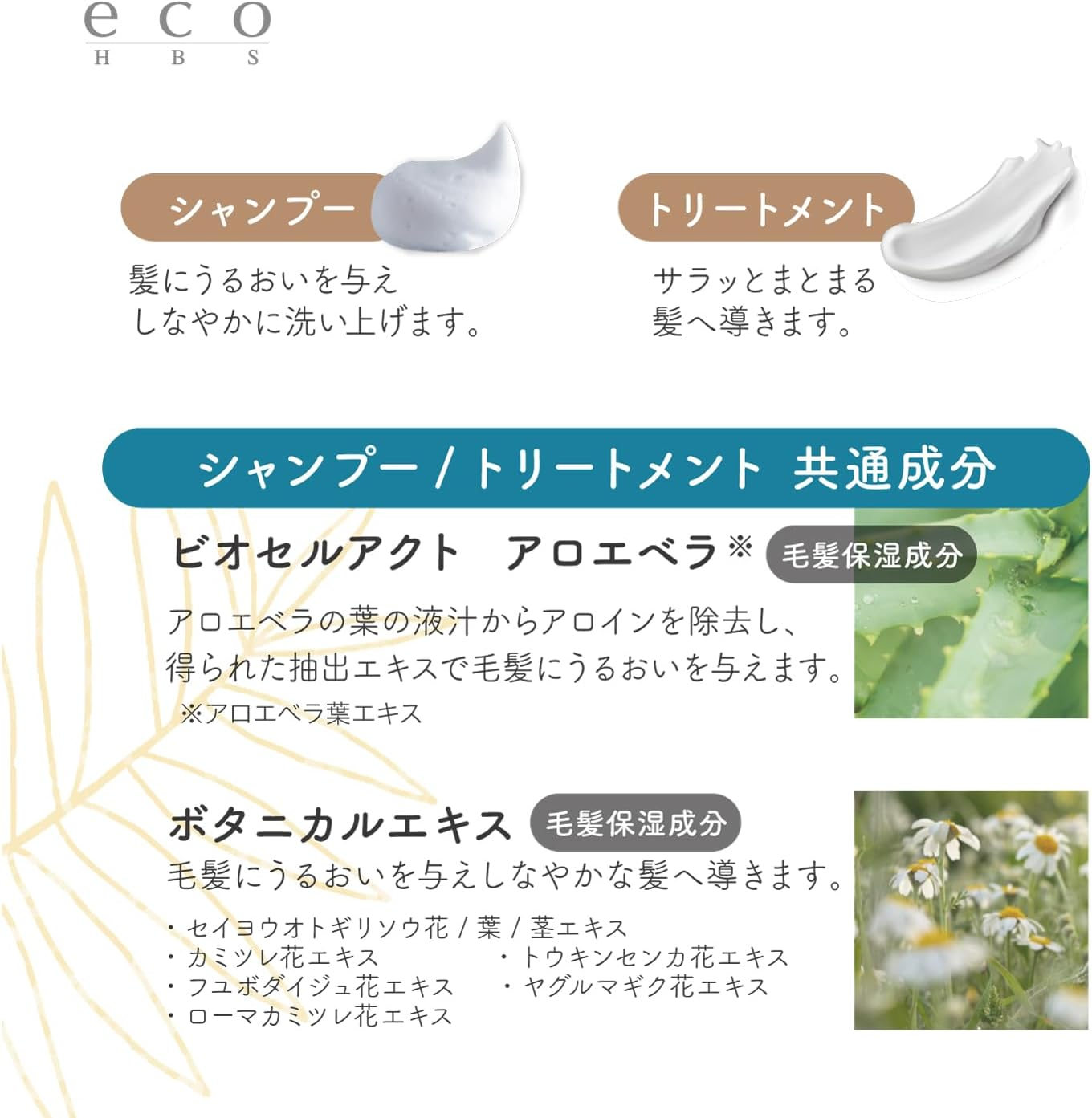 Eco HB-S Shampoo & Treatment Limited Set (Almond Nut Scent) image number 2