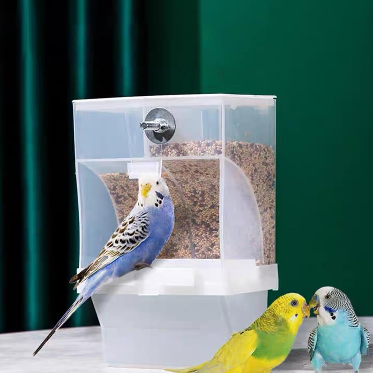 Jade Deals Automatic anti - Splash Bird Feeder - for Budgies, Cockatiels & Small Parrots, Available in 425G/520G/850G Sizes image number 5