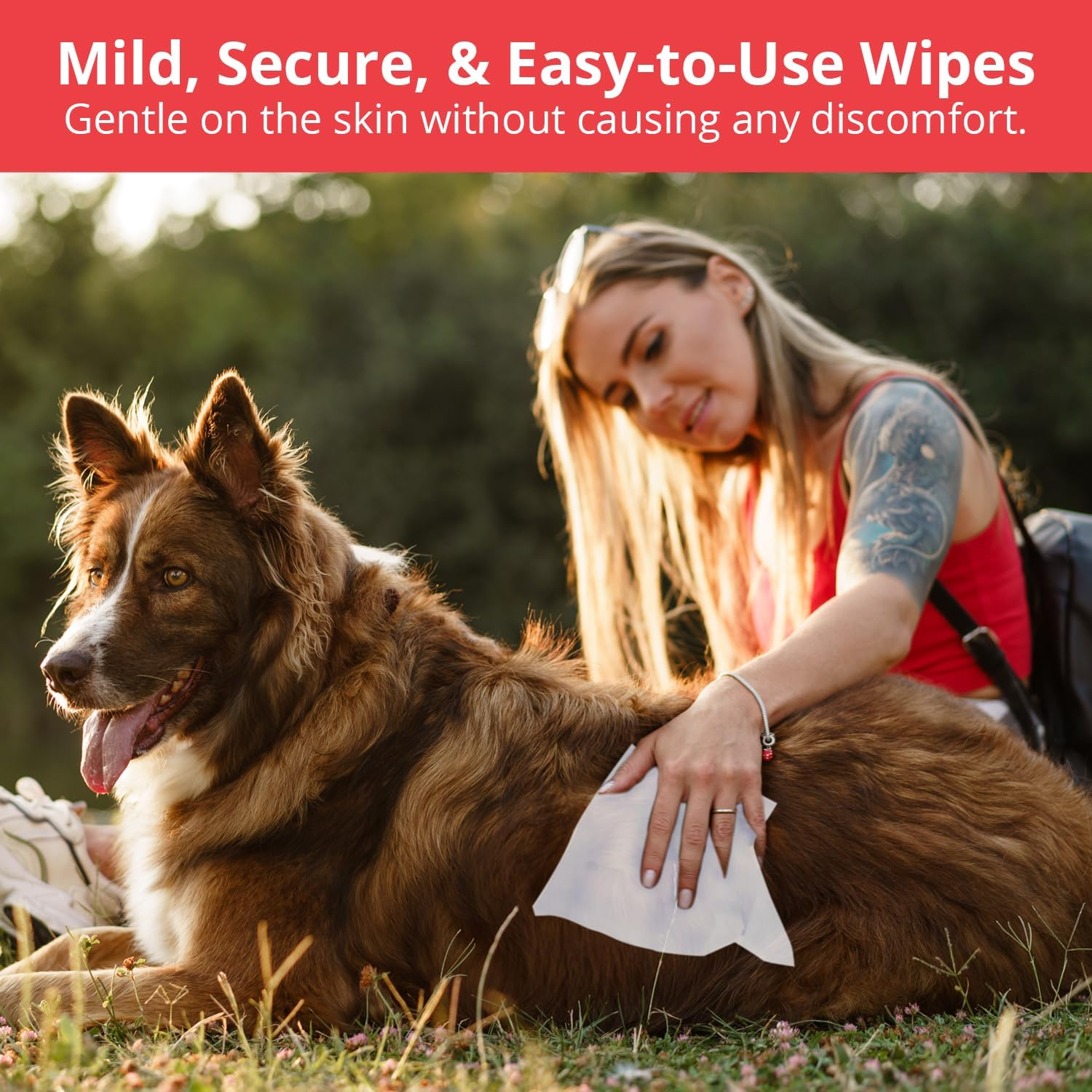 NOVEHA XL Cleansing Wipes with Aloe for Cats and Dogs - Formulated Pet Wipes for Facial, Finger Folds, and Underarms - Extra Large Size (5.5" X 7") - 120 Count image number 3