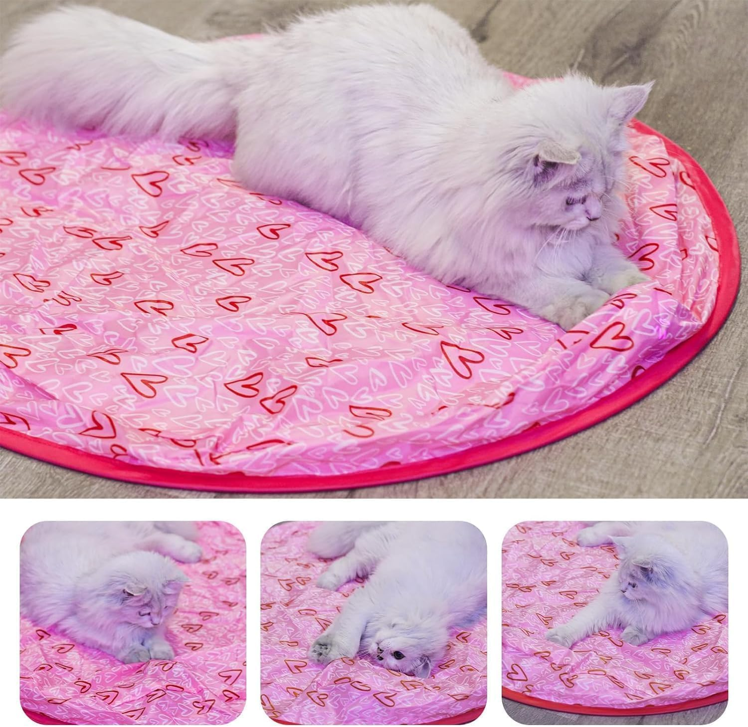 Shengruili Interactive Cat Toy Mat, Cat Play Mat, Cat Play Mat, Cat Toy Cat Mat, Hunting Cat Mat Toy, Interactive Training Mat for Stimulates Hunting Instinct image number 5