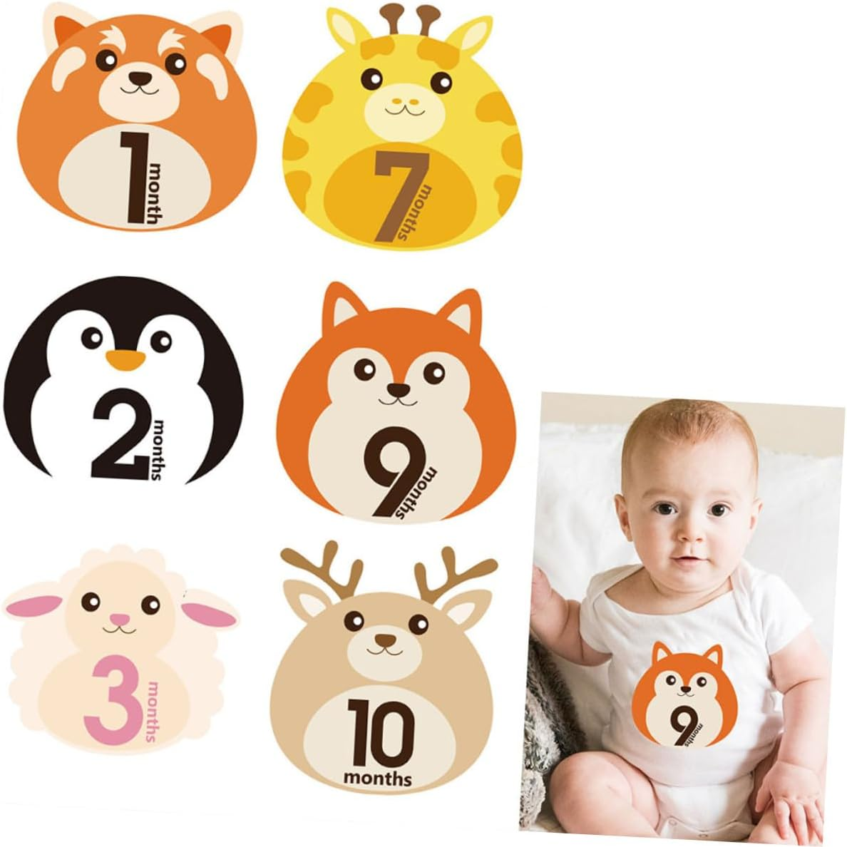 12 Sheets Animal Design Milestone Stickers Reusable Self-Adhesive Decals for Newborn Boy Girl Monthly Photo Keepsake Scrapbook image number 1