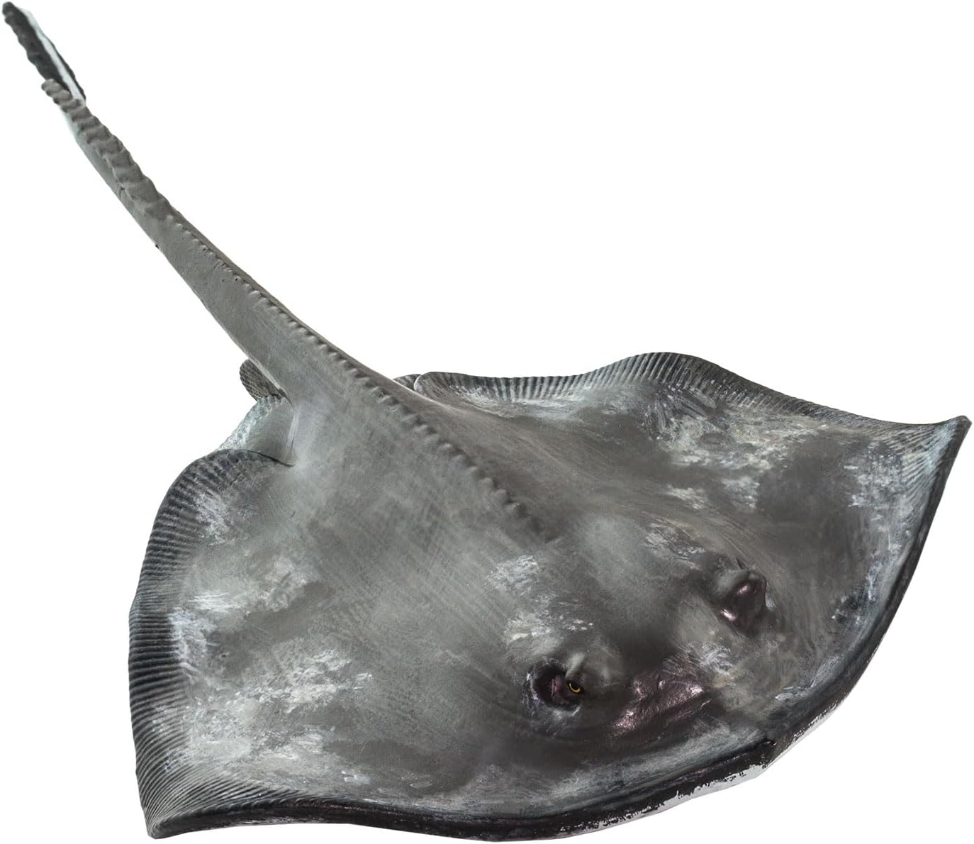 Safari Ltd Sting Ray image number 3