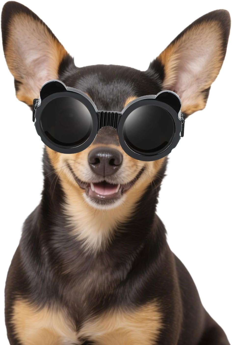 Enjoying Dog Sunglasses Small Breed, UV Protection Goggles for Dogs Small Breed, Outdoor Doggy Goggles, Anti-Fog/Wind/Dustproof Dog Glasses for Small Dogs Eye Protective, Panda Black