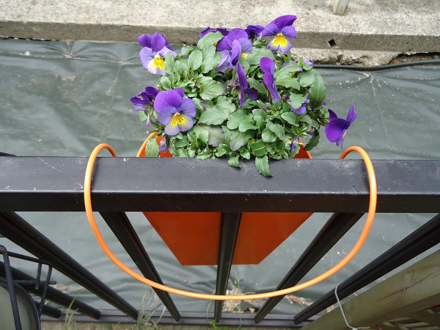 Collection Living My Balconia Bucky Flower White Enjoying the Veranda Terrace Veranda Gardening Garden Decor Gardening Supplies European Balcony image number 1