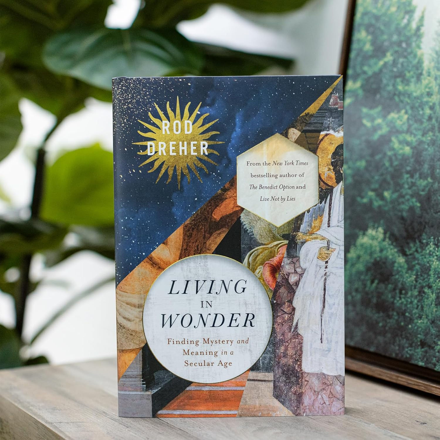 Living in Wonder: Finding Mystery and Meaning in a Secular Age image number 1