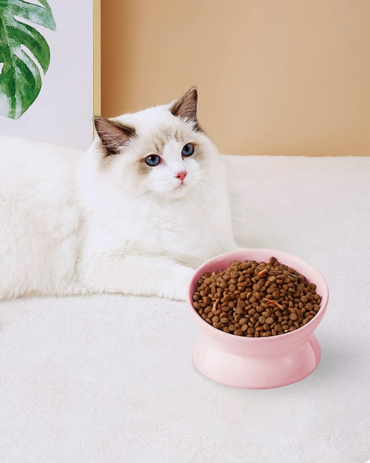 EP Leben Elevated Cat Food Bowl, 5 Oz Ceramic Raised and Tilted Water Bowl, anti Vomiting and Protect Pets' Spines Dishes for Small Dog, Fat Faced Cat, Kitten (Pink) image number 5