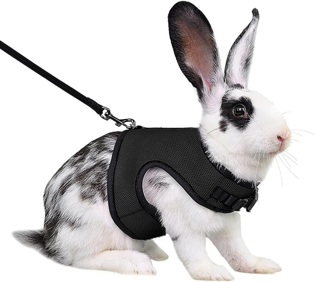 Rabbit Harness and Leash Set, Bunny Vest Leash Proof Mesh Walking Training for Small Animal Pets Rat Hamster Squirrel Ferret Guinea Pig Bunny (Black, M) image number 2