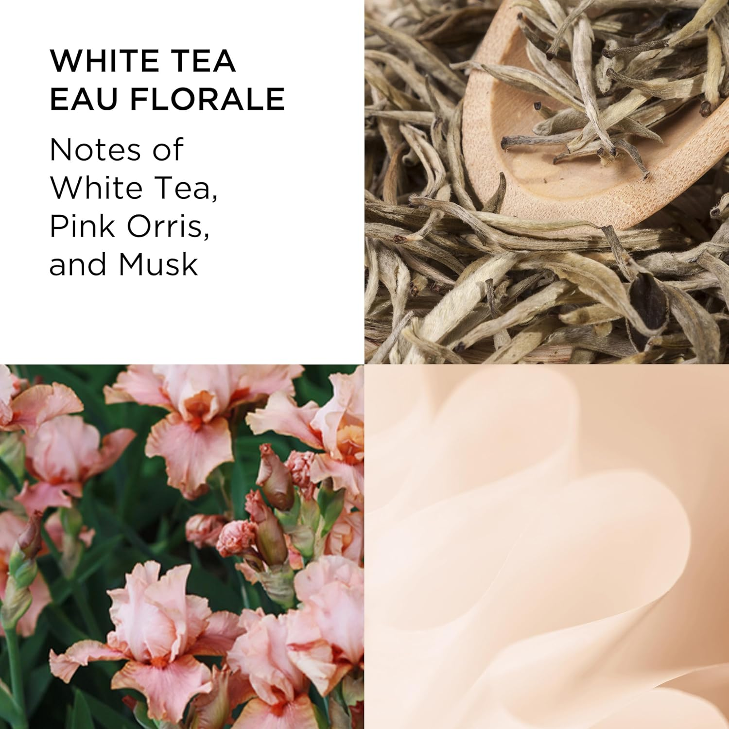 Elizabeth Arden White Tea Eau Florale 100Ml image number 4