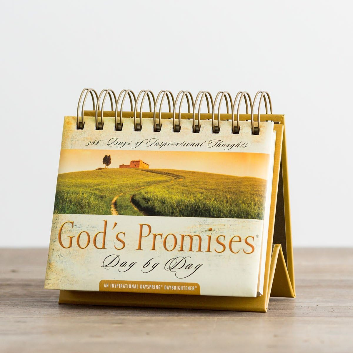 Dayspring God'S Promises Day by Day Daybrightener Perpetual Calendar image number 1