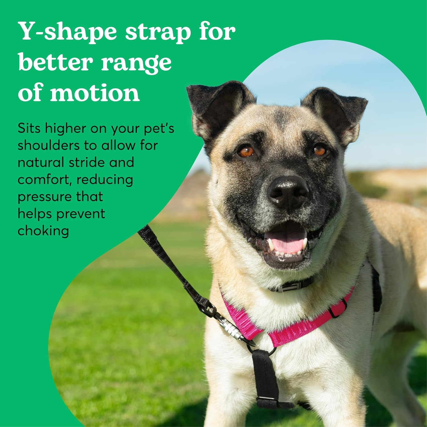 Rover Gear Better Walk No-Pull Dog Harness, Hot Pink, X-Large &ndash; Stay in Control with Adjustable, Comfortable, Easy to Wear, Durable Dog Harness &ndash; Ideal for Extra Large Dogs 70-130+ Lb image number 1