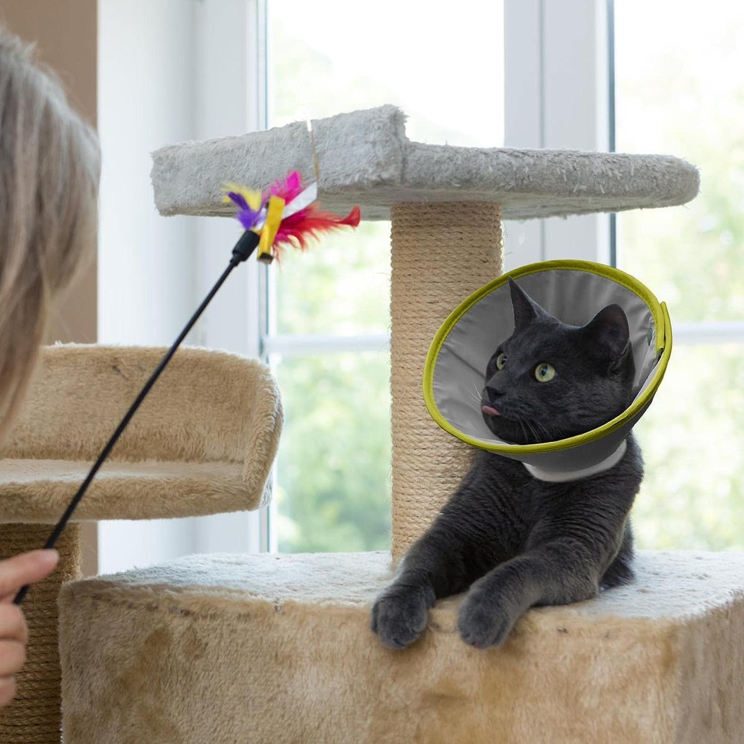 Soft Pet Collar Cone | Cat Recovery Collar Soft Cone Collars for Cat,Neck Cone after Surgerys, Elizabethan Collars Fit for Kitties, Small Dogs Buniq image number 1