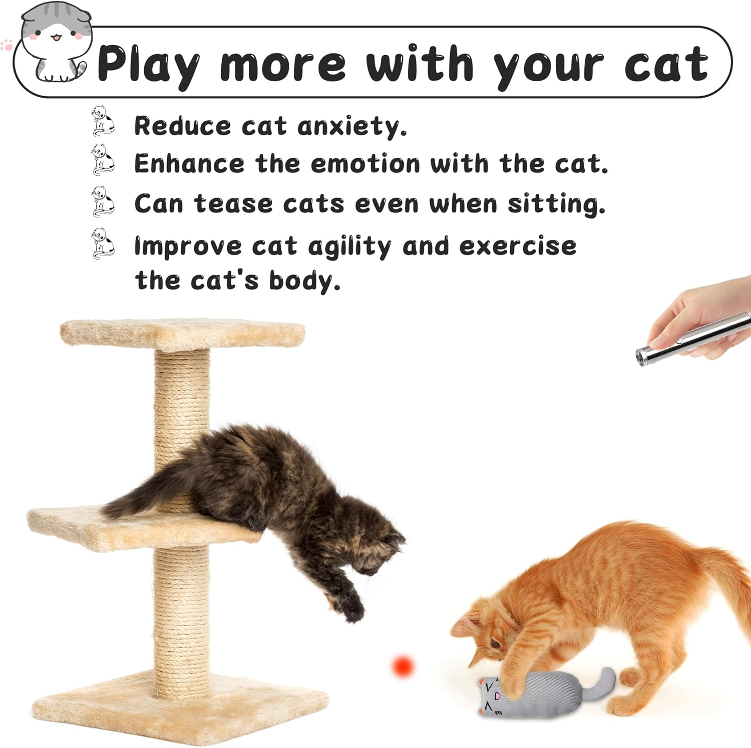 Cat Laser Pointer Toy with Catnip Pillow, Interactive Cat Toy for Indoor Play & Exercise, 1 Pack 2 in 1 LED Pointer Cat Toys for Cat Owners