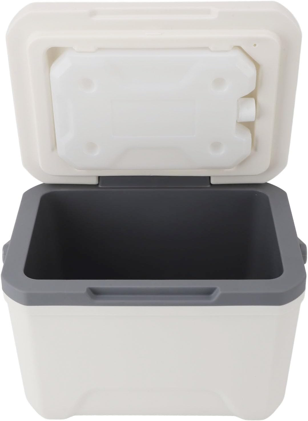 Insulated Portable Cooler, 6L Ice Chest Box, Lightweight Car Organizer Cooler Bag, Leakproof Cooler Box for Car, Travel, Outdoor Camping, BBQ, Beach, Picnic, Drink, Beverage image number 6