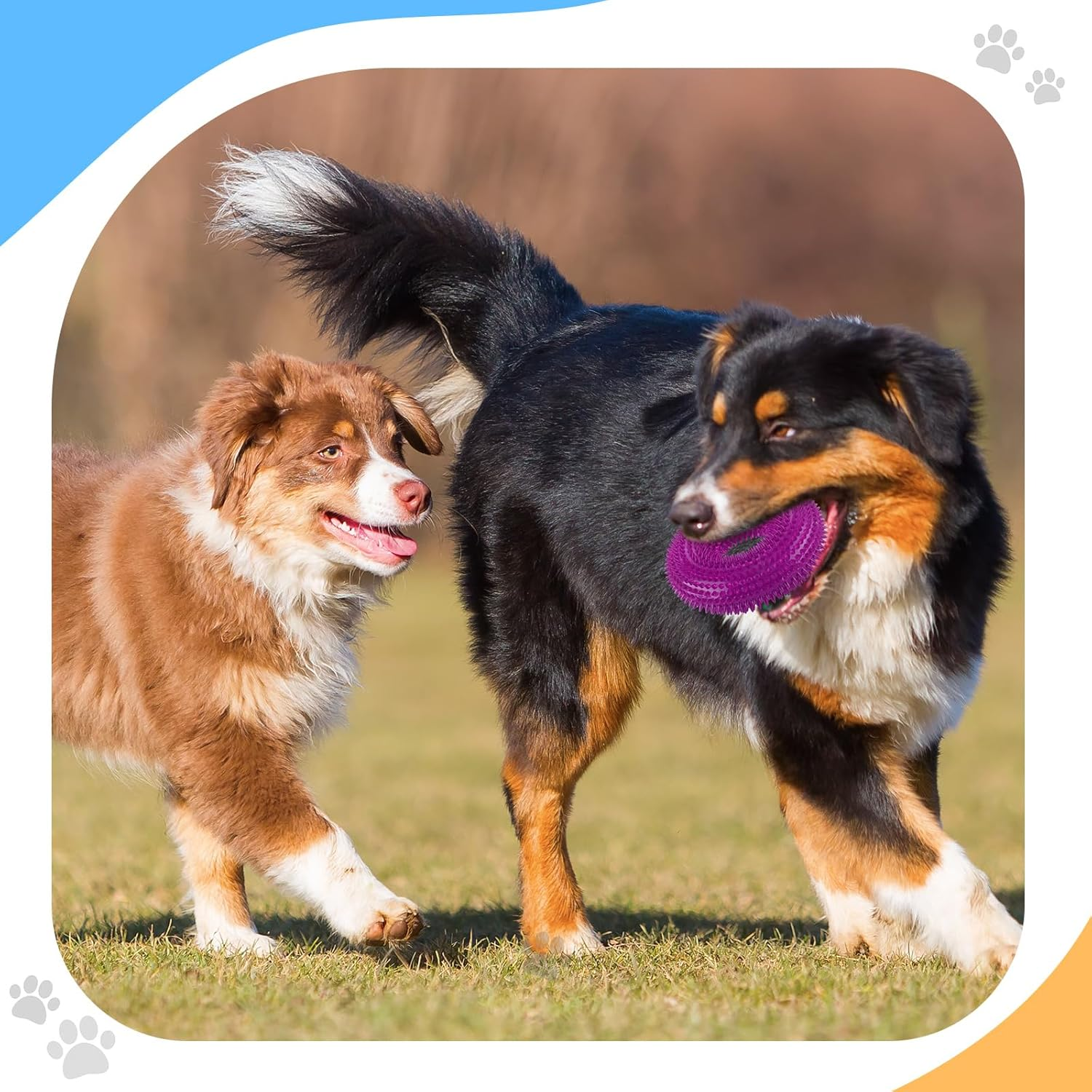 Silipull 4 Pcs Spiky Squeaker Football Dog Toy for Medium Large Dogs Spiky Dog Balls Puppy Chew Toys for Aggressive Chewers Training Fetch Toys(Fresh,Multicolored) image number 4