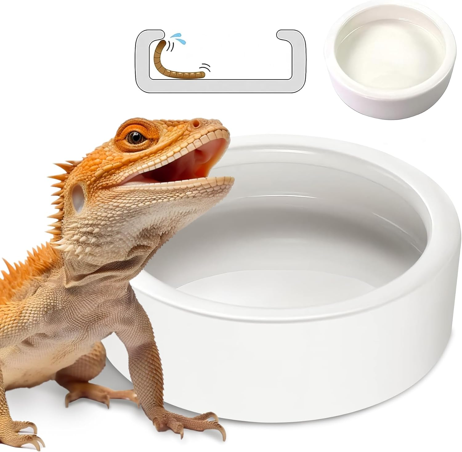 Ceramic Reptile Bowl - Mealworms & Cricket Dish for Gecko, Bearded Dragon & Chameleon - Xl(5In) Anti-Escape Feeder