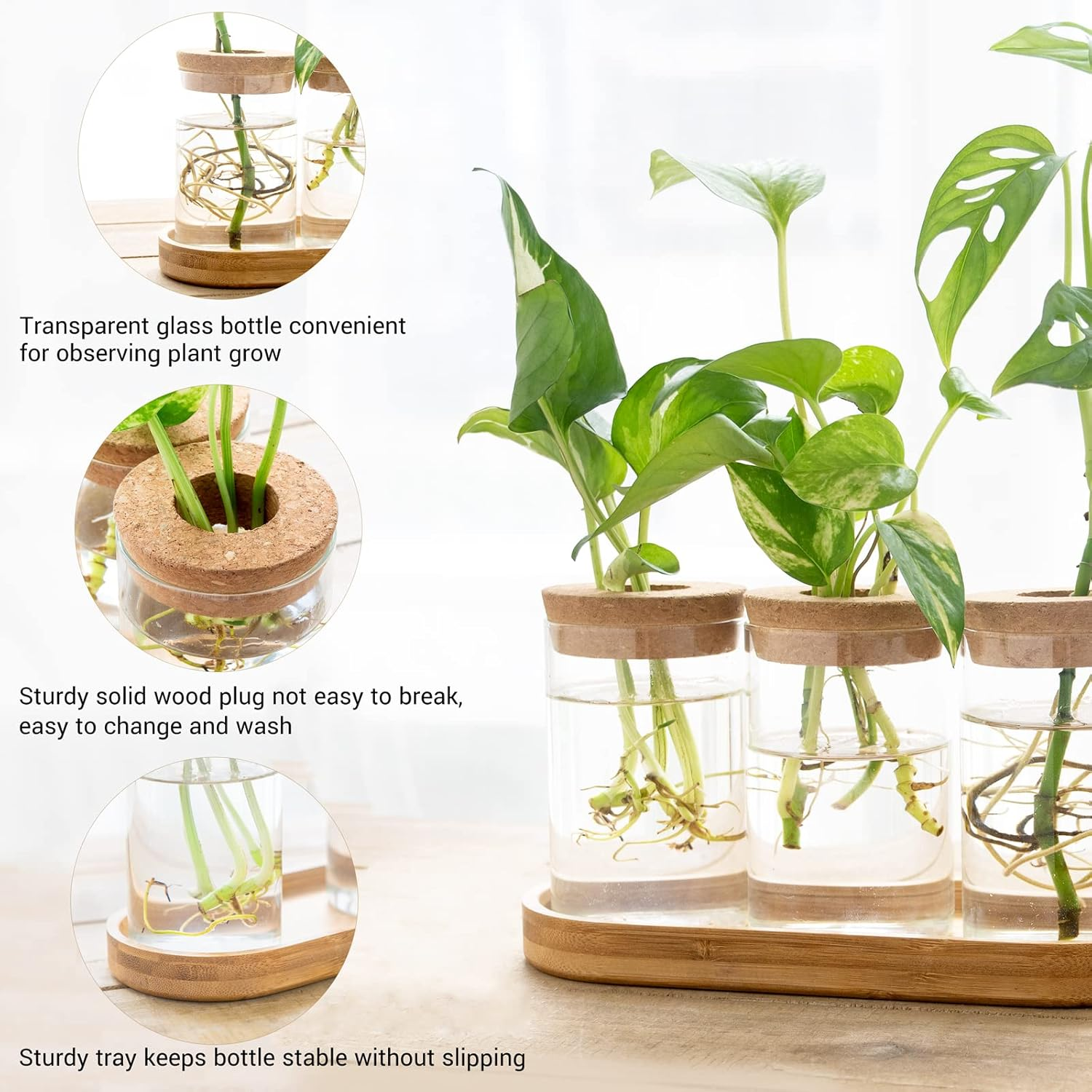 Dahey Plant Propagation Terrarium Desktop Glass Planter Station Water Planting Glass Vase with Lid and Wooden Stand for Propagating Hydroponic Plants Centerpiece Office Home Garden Decor, 3 Pcs image number 2