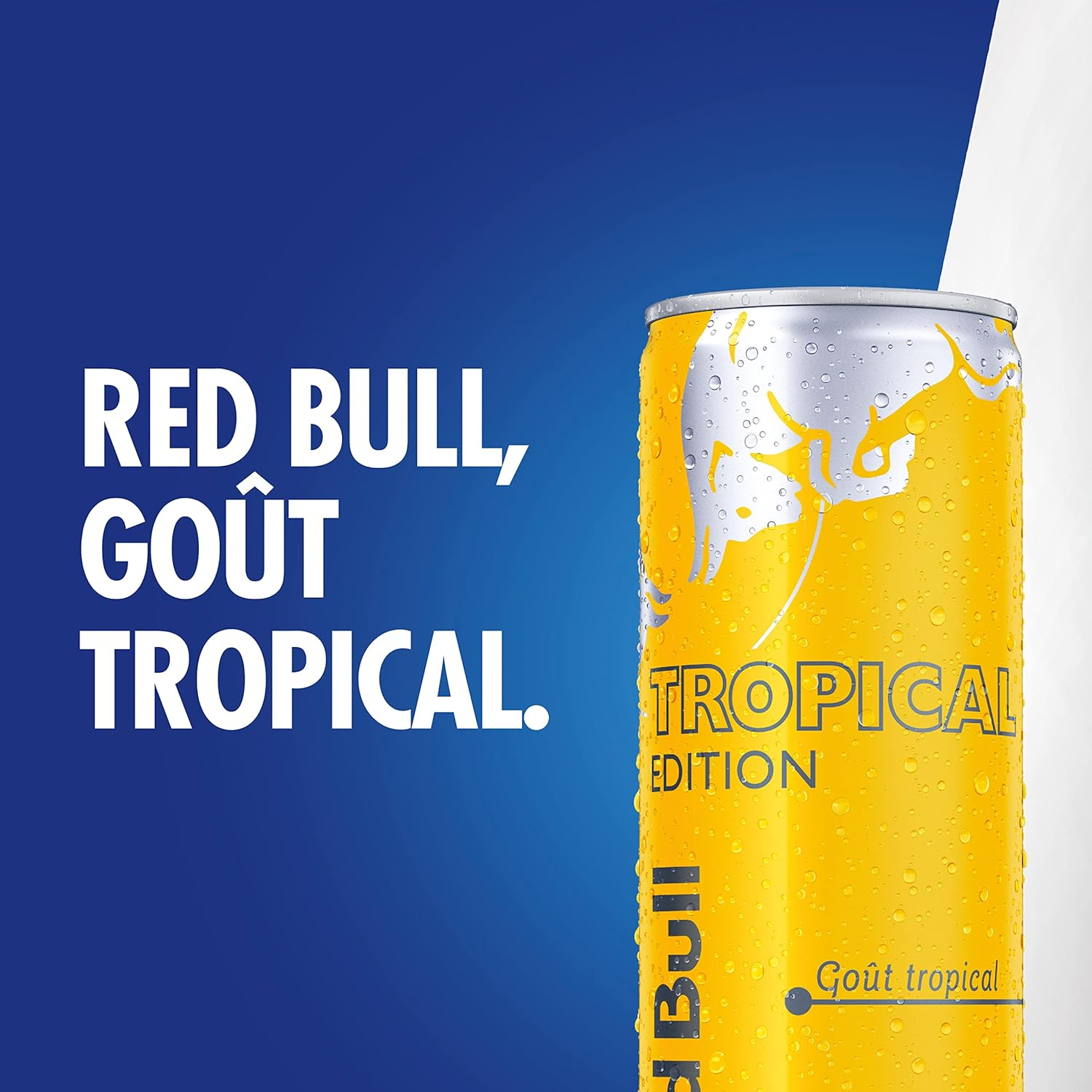 RED BULL Tropical Edition 12 X 250 Ml image number 2