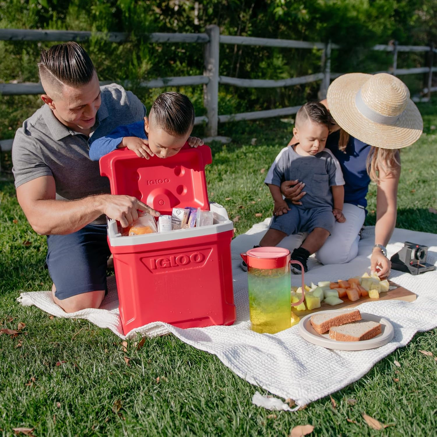 Igloo Profile Hard Coolers image number 2