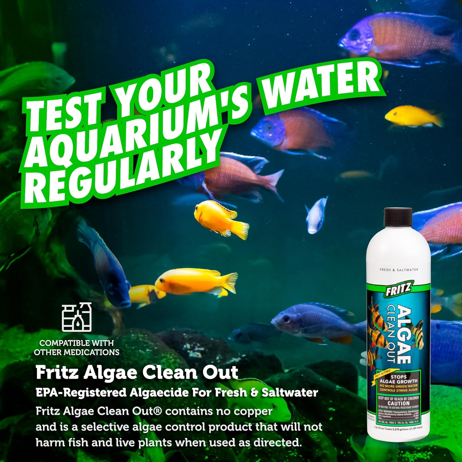 Fritz Aquatics 48016 Fritz Algae Clean Out Algaecide for Fresh and Salt Water Aquariums, 16-Ounce image number 5