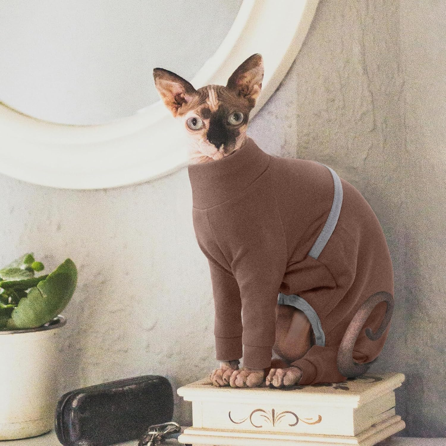 Hjyokuso Sphynx Cat Clothes, Breathable Soft Cat Jumpers for Cats Only, Cat Coat with Four Legs, Cat T-Shirt, Warm Cat Sweaters, Cat Pajamas Jumpsuit Vest for Sphynx, Cornish Rex, Devon Rex,Peterbald