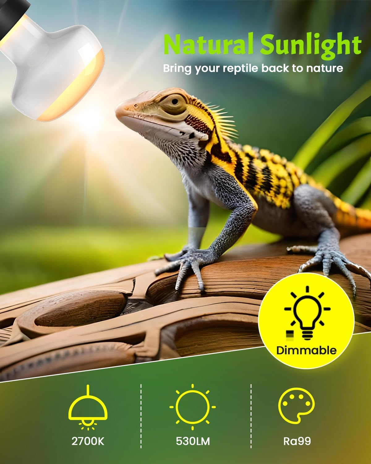 Bonlux Intense Heat Lamp Bulbs 100W, Dimmable UVA Basking Bulb E27 Daylight Reptile Heat Lamp Light Bulb for Lizards Tortoise Snakes Bearded Dragon Aquarium Amphibian (3-Pack) image number 3