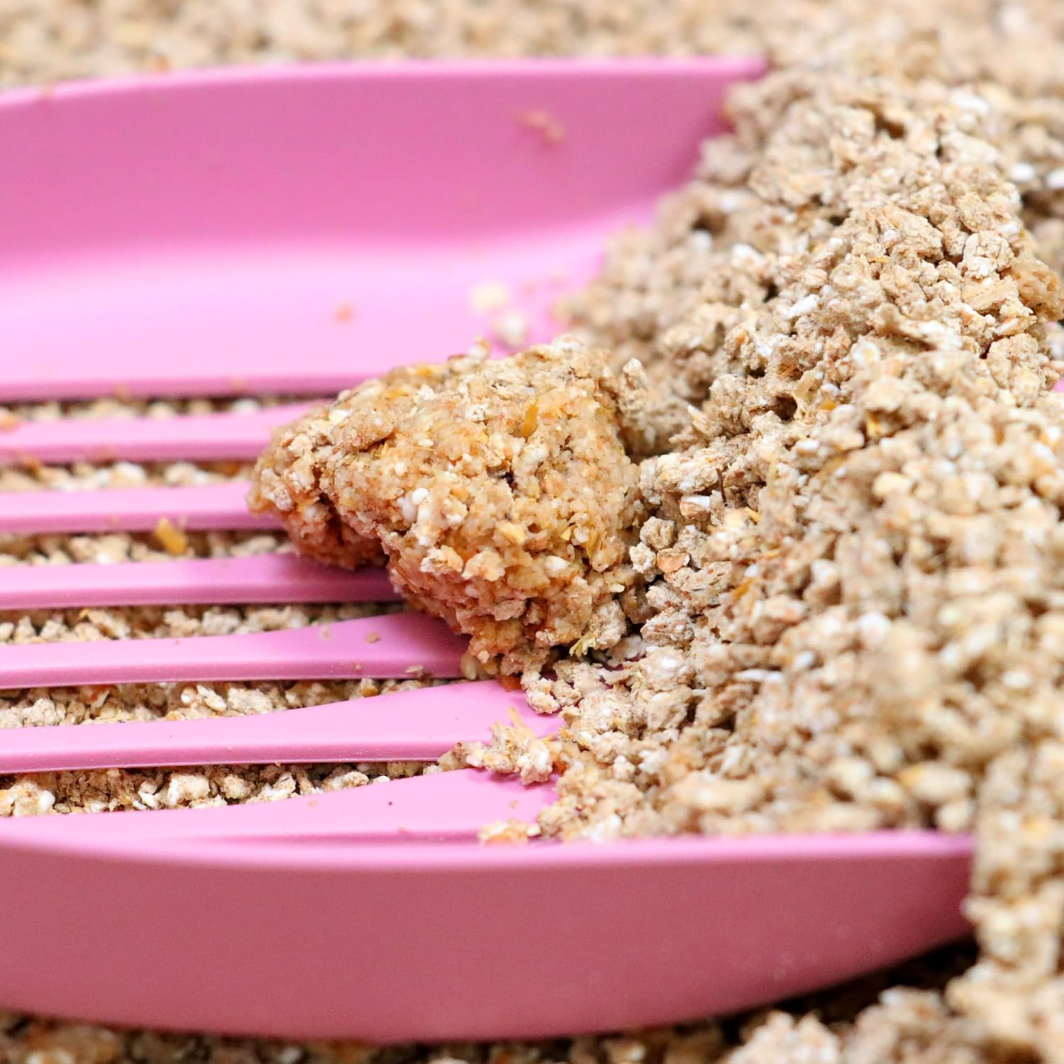 Croci Eco Clean Litter 10 L - Clumping Cat Litter, Biodegradable, Flushes down the Toilet, 100% Vegetable, Long Lasting Anti-Odor Sand image number 3