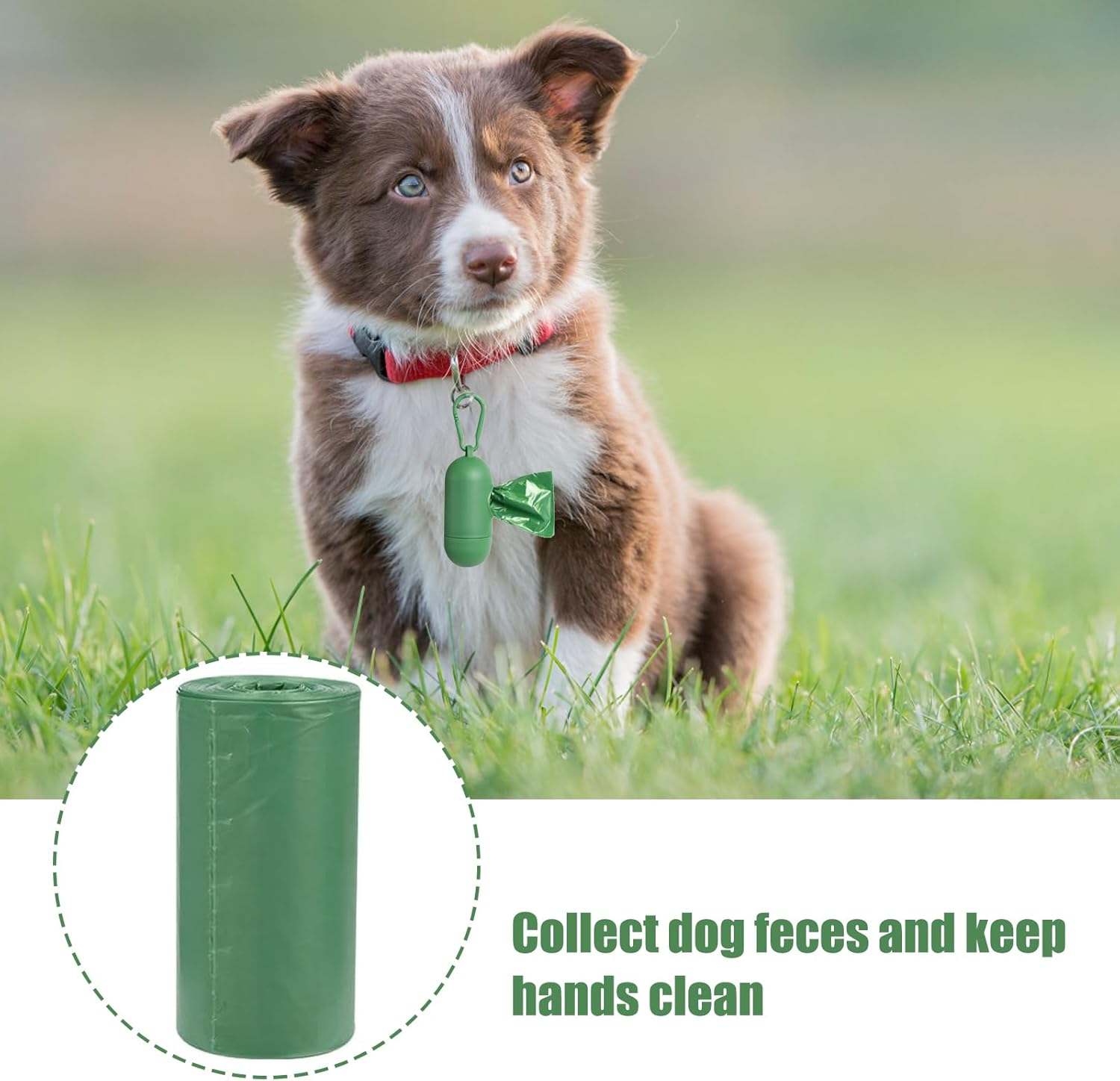 RTRTGS Pack of 150 Dog Waste Bags, Dog Bags, Waste Bags for Dogs - 30 X 21.5 Cm, Polyethylene Material, Portable - Green (10 Rolls, 15 per Roll) image number 5