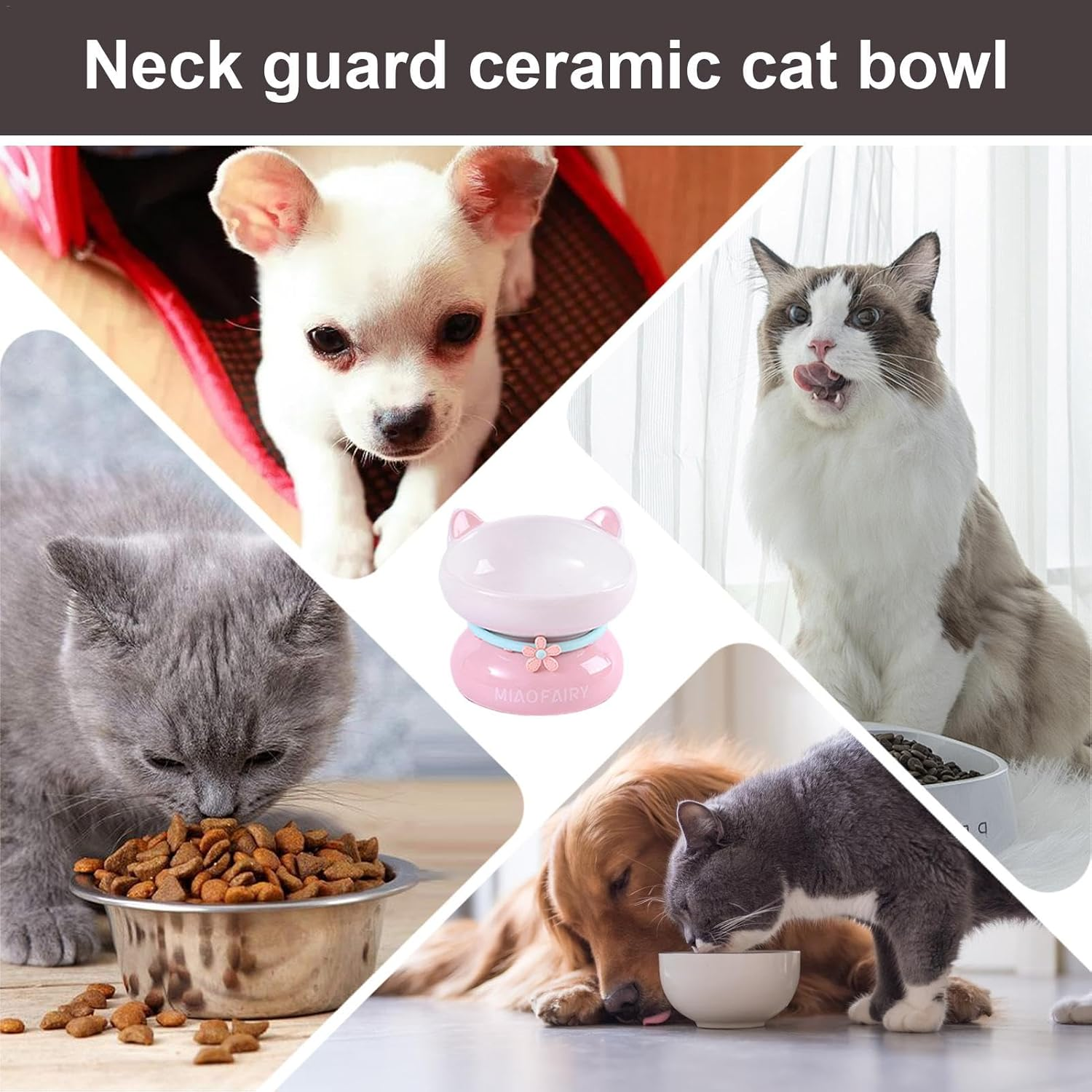 Raised Ceramic Cat Bowl - Cat Dish Backflow Prevention | Cute Slanted Mouth Raised Cat Bowls Stable for Food and Water