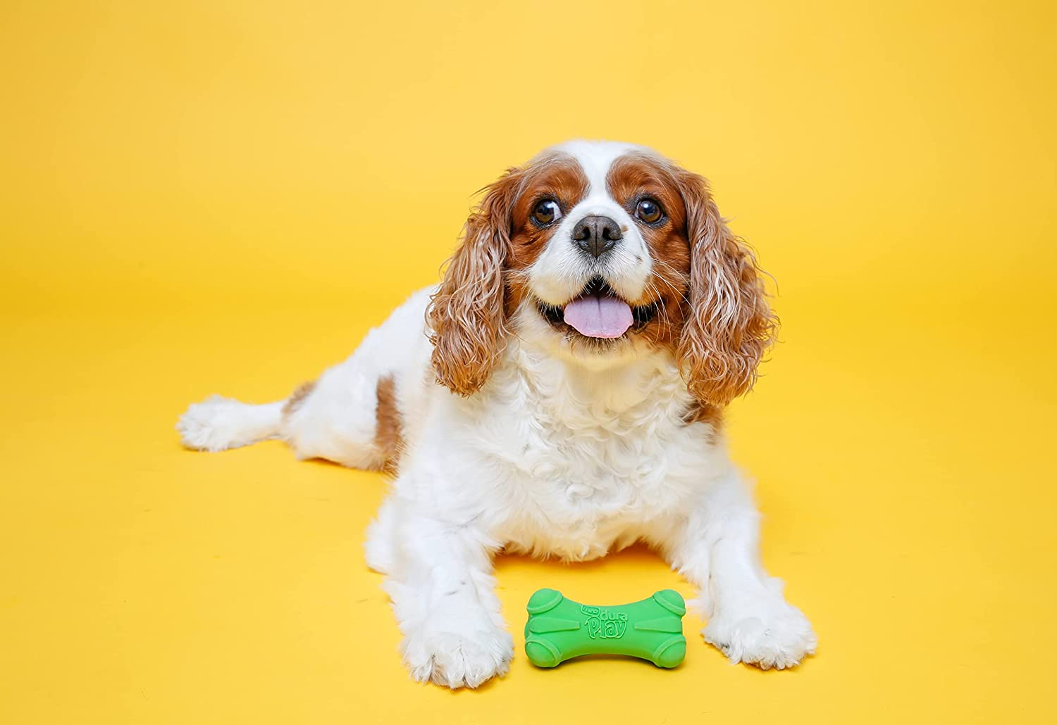 Hartz Dura Play Bacon Scented Squeak Bone Dog Toy, Multiple Dog Toy Sizes & Pack Sizes image number 1