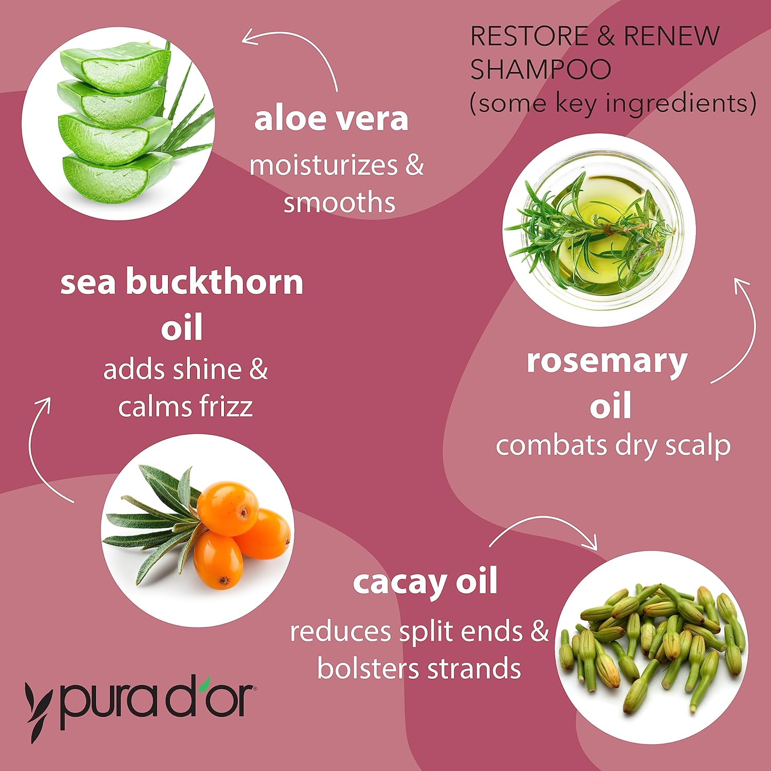 PURA D'OR Restore & Renew Shampoo (16Oz) Hair Protection from Dye, Extensions and Heat Tools, Infused with Organic Aloe Vera, Rosemary Leaf Oil, Sea Buckthorn Fruit Oil, & Cacay Seed Oil image number 3