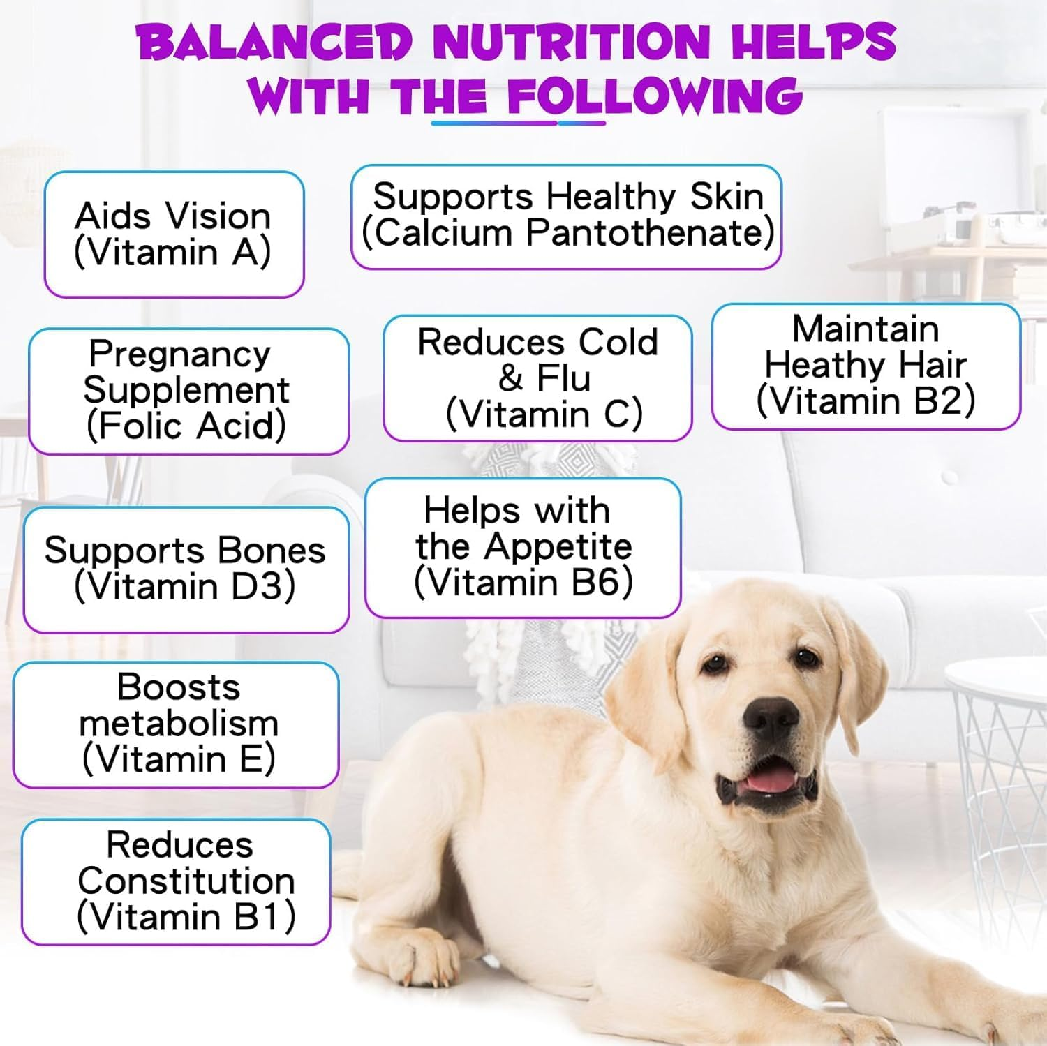 Dogs Natural Multivitamin - 15 in 1 Nutrition Vitamin Drops ● Supports Heart, Bones, Hip, Joint, Skin, Coat, Bladder, Digestive, Immune System ● Supplement with Bacon Flavor ● 60Ml image number 3