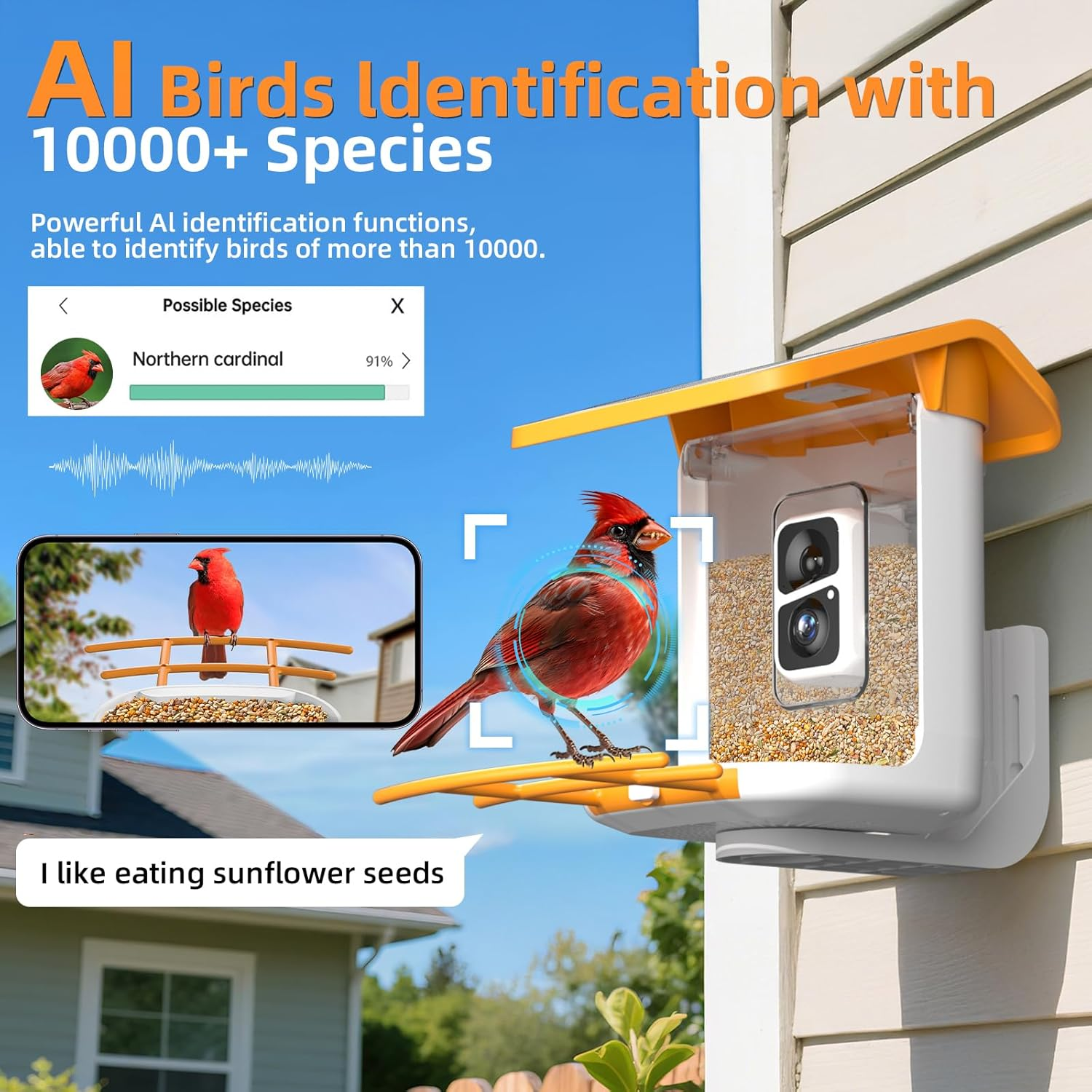 Bird Feeder with Camera - Identifies 11,000+ Bird Species, Full Color & Infrared Night Vision, Solar Powered, Auto Video Capture & Instant Alerts, IP65 Waterproof, 1.8L Large Capacity,White